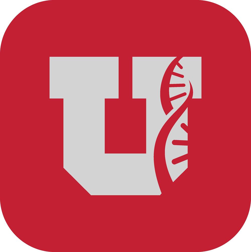 Real Life Challenge - Movement Break - Union Building Real Life Challenge - Movemen… <br />
<span><a target=
