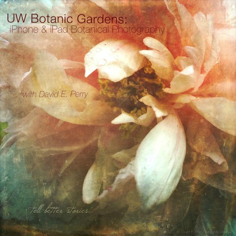 UW Botanic Gardens: iPhone and iPad Botanical Photography