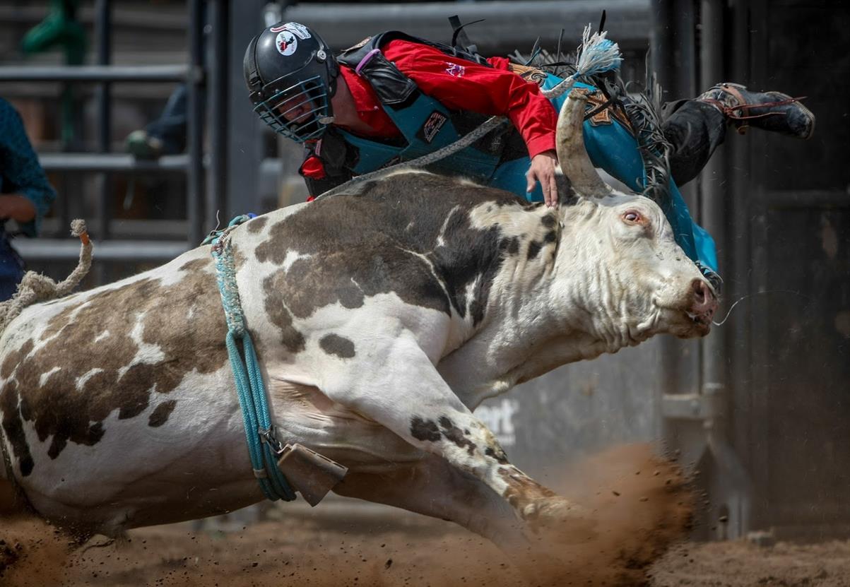 Ogden Rodeo Seating Chart