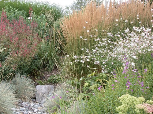 UW Botanic Gardens: Ornamental Grasses
