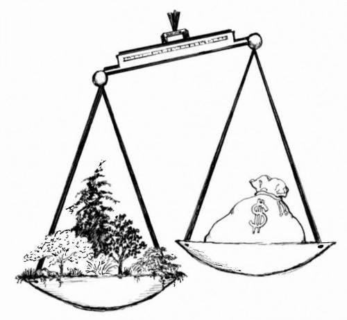 UW Botanic Gardens: 2015 Urban Forest Symposium UW Botanic Gardens: 2015 Urban Forest Symposium
