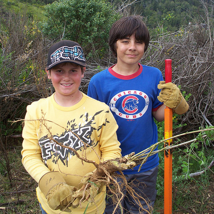 Broom Busters Broom Busters