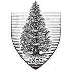 Volunteer at the Arnold Arboretum!