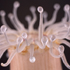 Sea Creatures in Glass: Blaschka Models of Marine Invertebrates