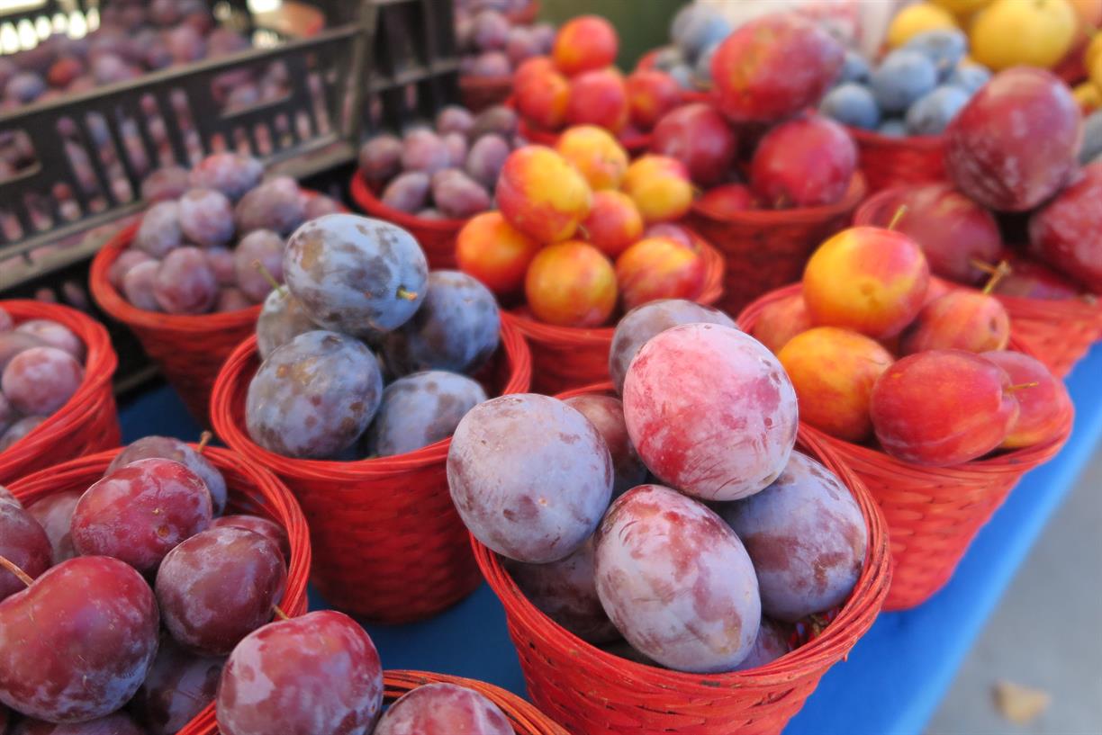 University of Utah Farmers Market University of Utah Farmers Market