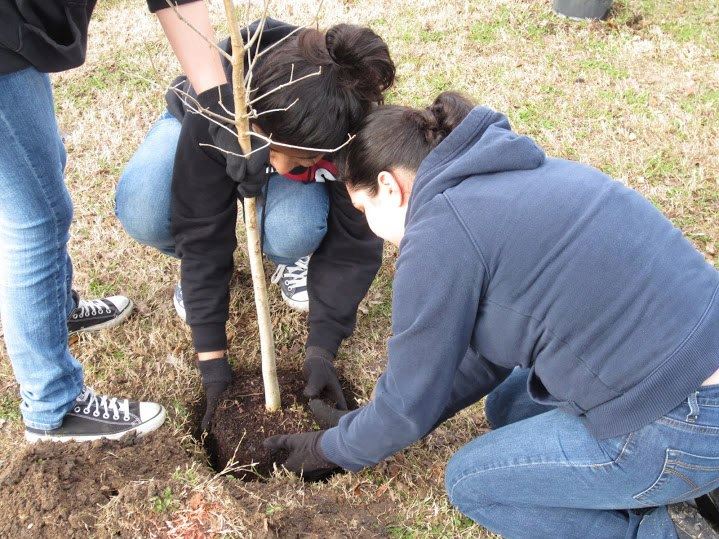 YASS MLK Jr. Day of Service 2019 (Alief) YASS MLK Jr. Day of Service 2019 (Alief)