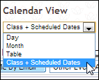 Unlabeled View Chooser