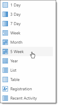 Selecting a calendar view