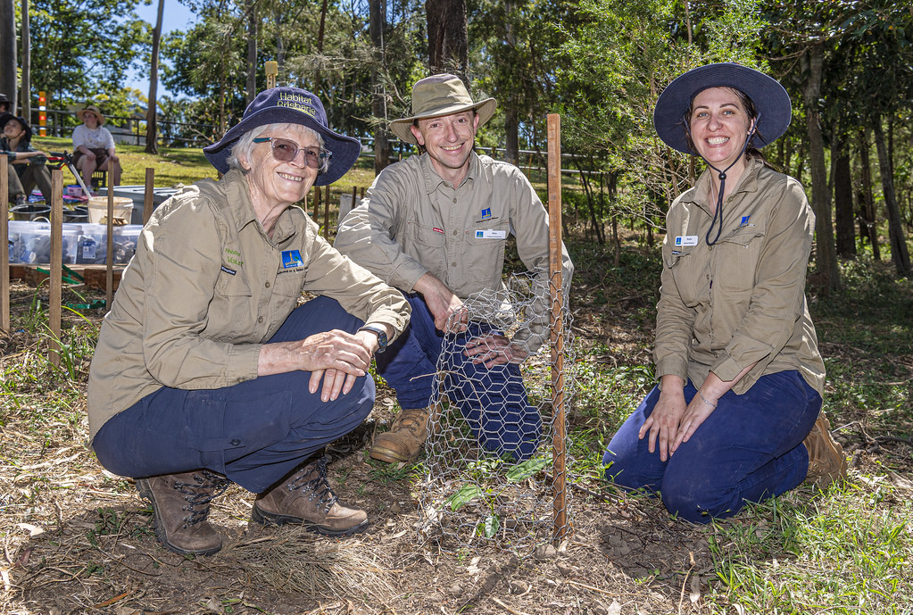Volunteer Bushcare Working Bee - McDowall Bushcare Group