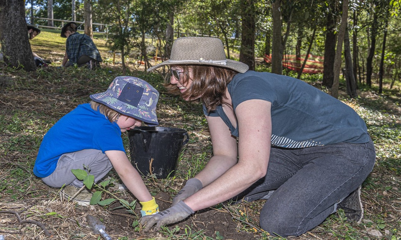 Volunteer Bushcare Working Bee - Jindalee Bushcare Group