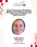 dissertation defense flyer for ph.d. candidate Abigail Friese dissertation defense flyer for ph.d. candidate Abigail Friese
