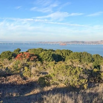 Tiburon Uplands Hike