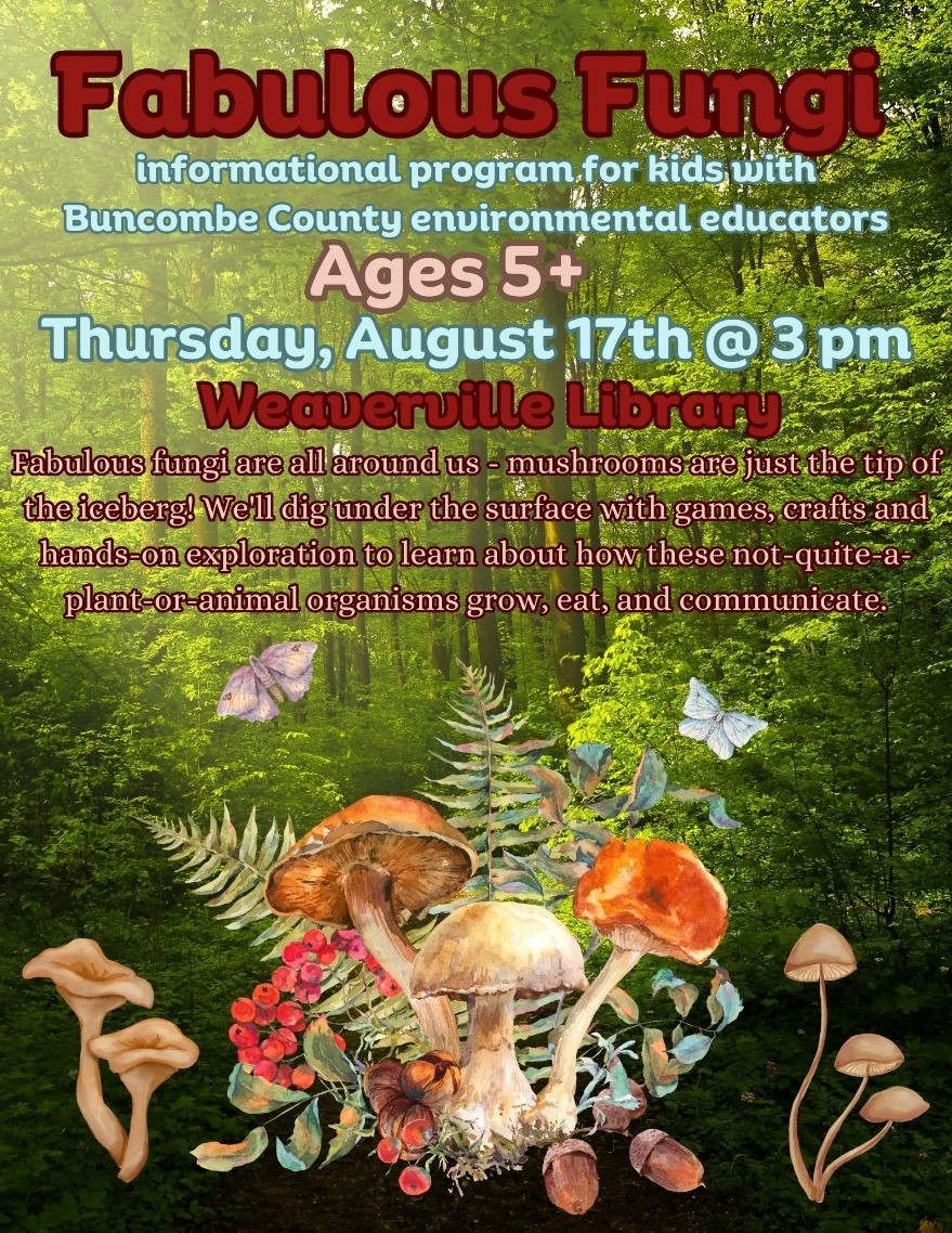 Fabulous Fungi with Buncombe County Environmental Educators