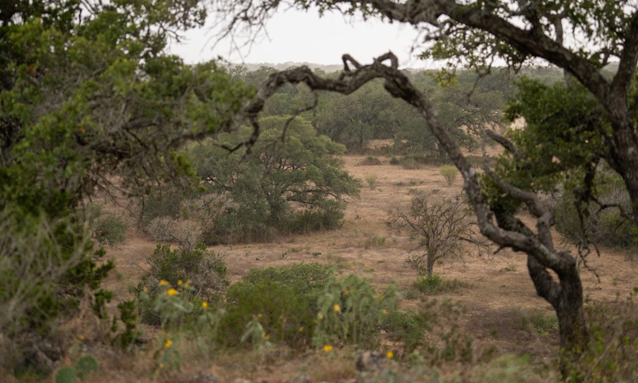 Explore & Hike: Hill Country SNA