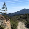 Carson Falls