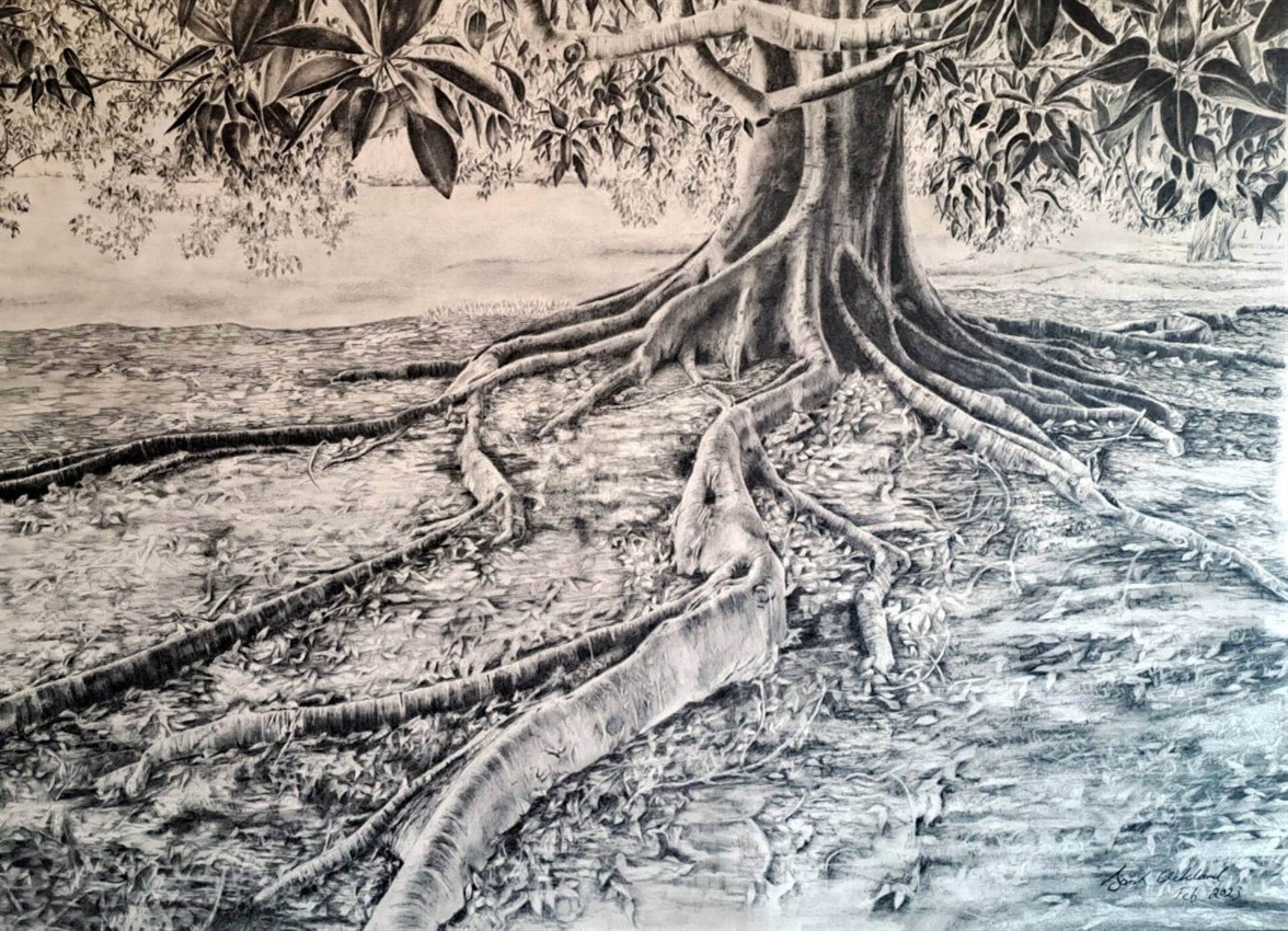 Botanic art: 'en plein air' - Figs