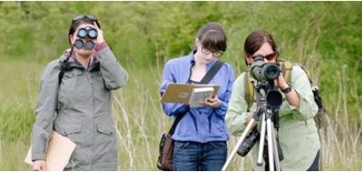 Engaging Undergraduates in Research: Mentoring for Equity and Inclusion