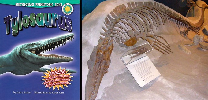 Video Webinar for Families: Natural History at Home - Tylosaurus Storytime