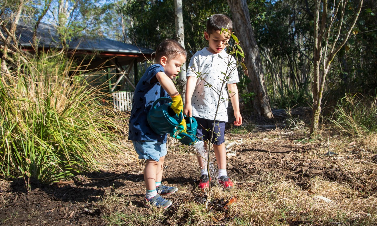 Bush Kindy