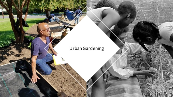 Urban Gardening Workshop:  Looking to the Fall