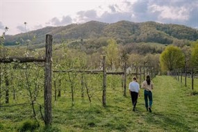 Troddenvale | The Bloom Lunch Series - May 10 with Tow Fire Table