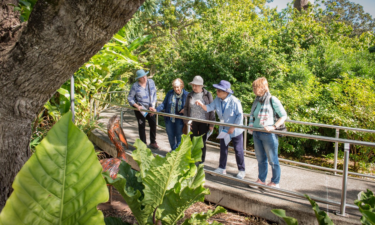 Free guided tour - Brisbane Botanic Gardens Mt Coot-tha