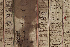 Beyond the Book of Kells: The Book of Leinster