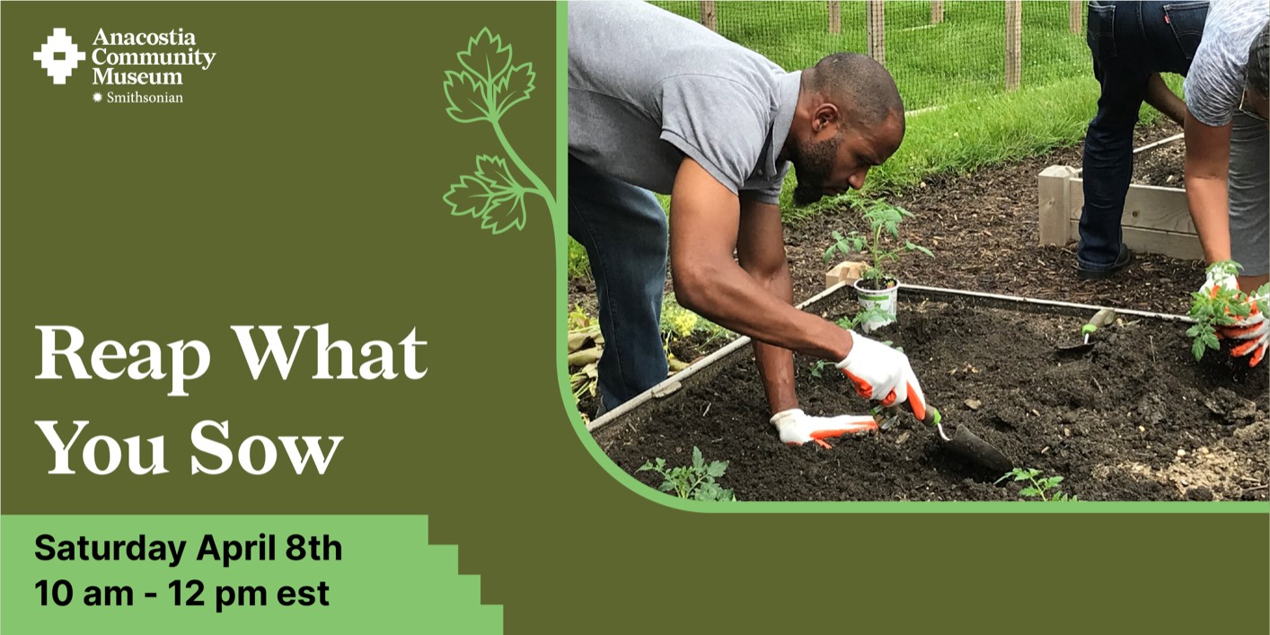 Urban Gardening: Reap What You Sow