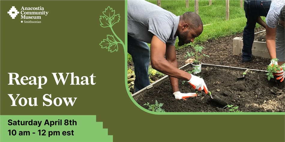 Urban Gardening: Reap What You Sow