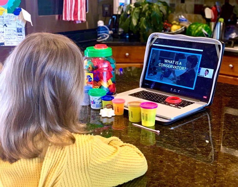 Art & Me | Virtual Family Workshop: Pest Patrol