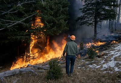 Wildfires and Humans in the Western United States