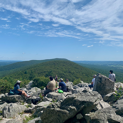 A Salute to Scavengers at Hawk Mountain