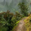 The Baltimore Canyon Story