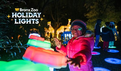 Bronx Zoo's Holiday Lights