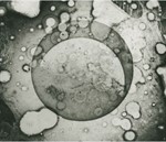 Anniversary - 1st Moon Photo (1840)