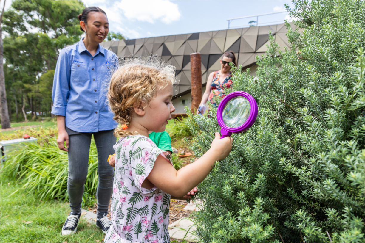Bush Kindy: Australian Pollinator Week