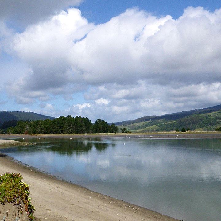 Bolinas Lagoon Advisory Council Bolinas Lagoon Advisory Council