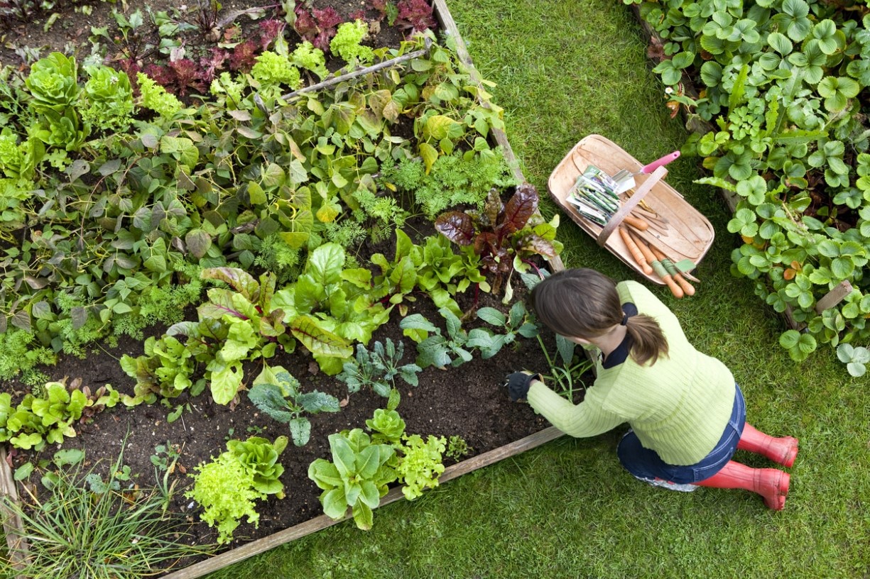 Sustainable living on a budget