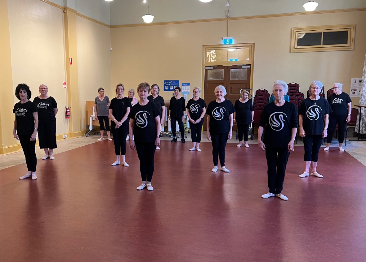 Silver Swan's Ballet Classes