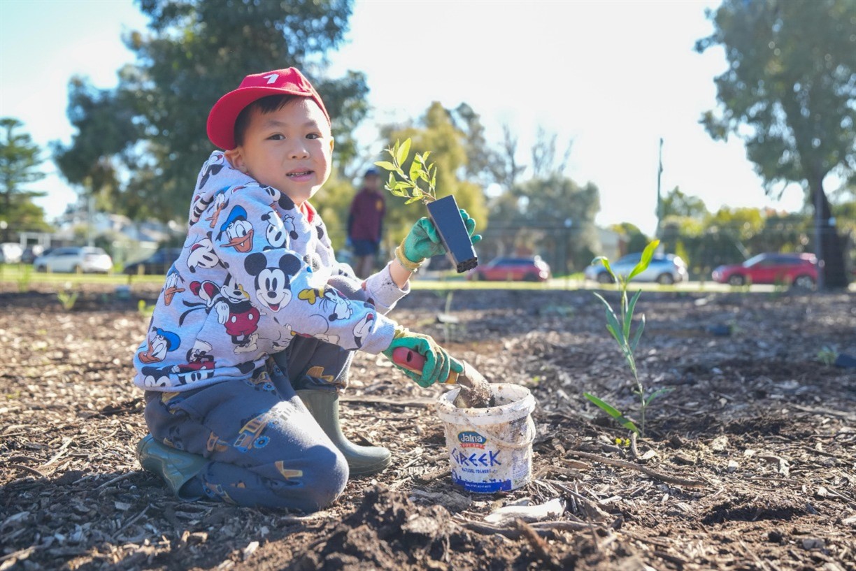 Child planting