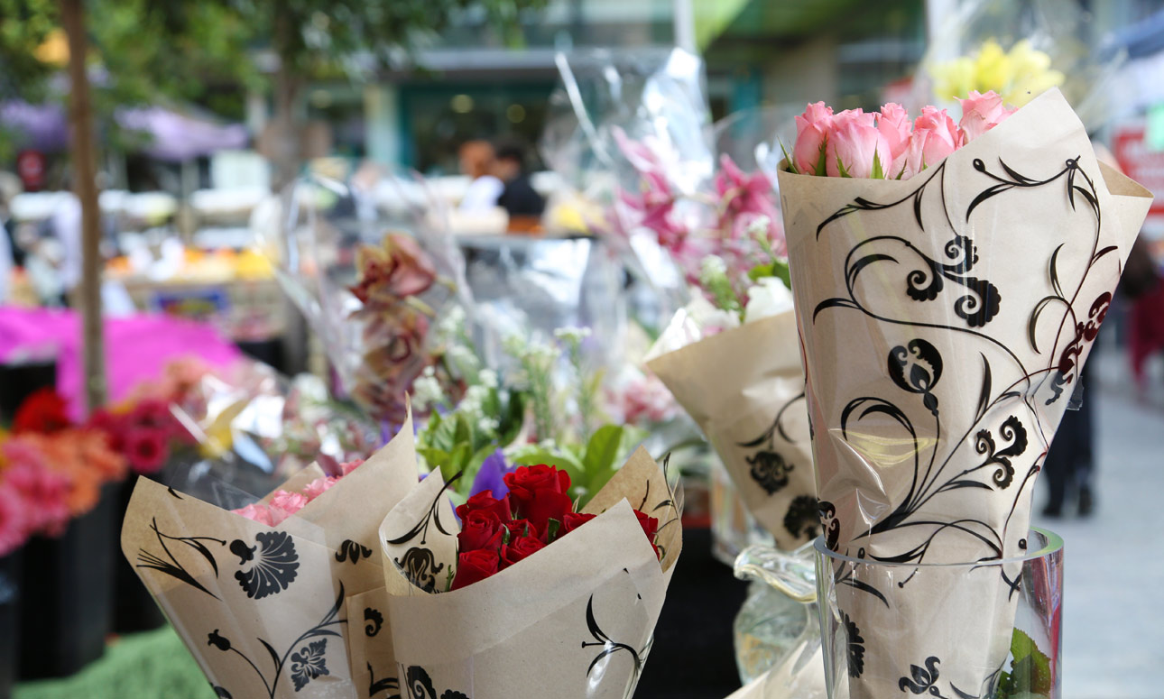 Mother's Day by the Bay at Manly Creative Market