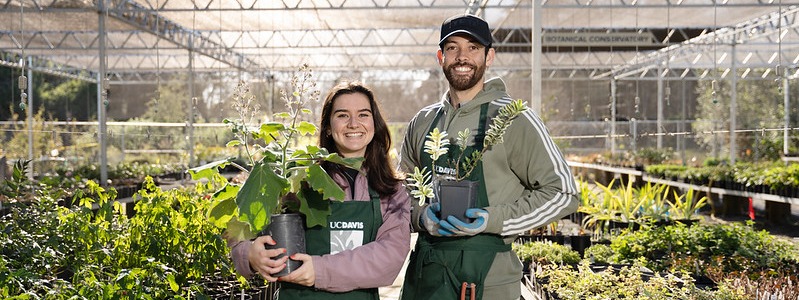 Split Plant Sale: Members (9-11) & Public (11-1)