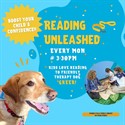 Reading Unleashed at Marble Falls library