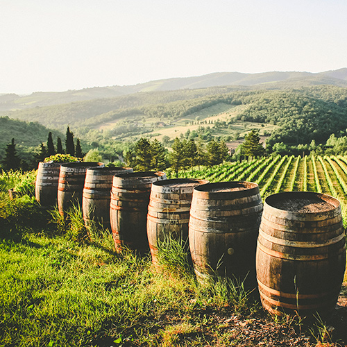 Italy off the Beaten Path: Regions and Varieties for Your Vinous Radar