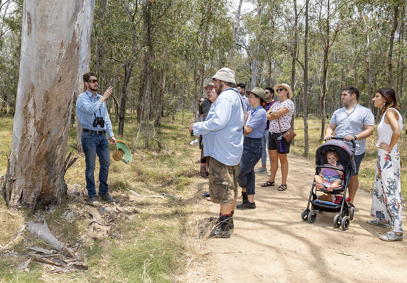 Guided walk of the Billai Dhagun circuit