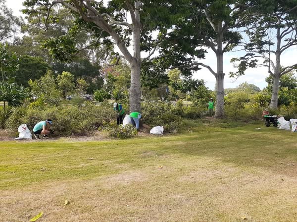Friends of Bur'uda Hanlon Park working bee