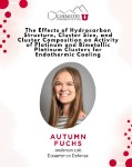 dissertation defense flyer for ph.d. candidate Autumn Fuchs