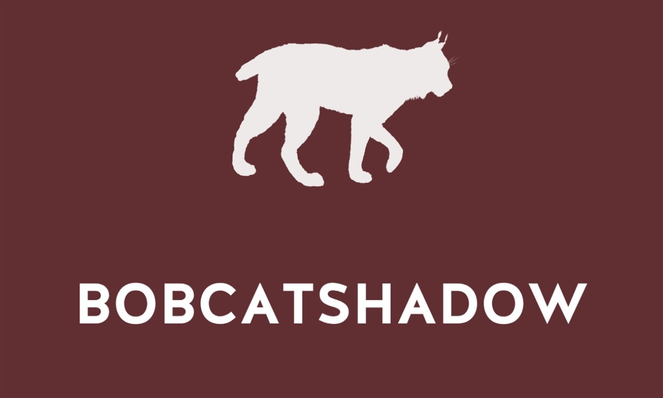 BOBCATshadow Information Session