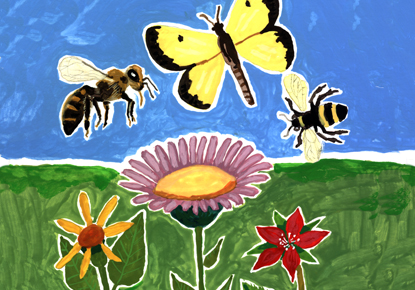 Stellaluna Stellaluna