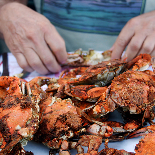 The Flavors of Maryland